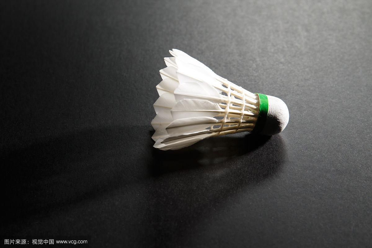 球迷与业内 球迷与业内